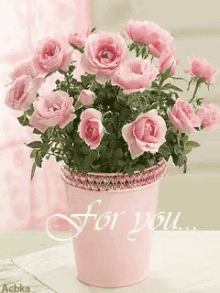 for you roses flowerpot