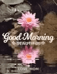 beautiful morning good morning morning wallpaper reflection