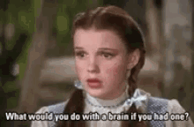 Brain If You Had One GIF - Brain If You Had One Wizard Of Oz GIFs