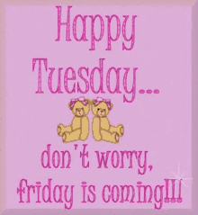 Happy Tuesday Friday Is Coming GIF - Happy Tuesday Friday Is Coming Teddy GIFs