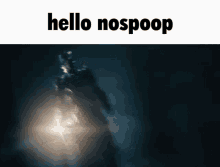 a dark background with the words hello nospoop written on it