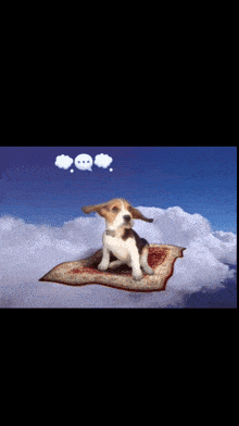 a beagle puppy is sitting on a flying carpet in the sky