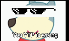 a cartoon cat wearing sunglasses with the words `` you ytp is wrong '' .