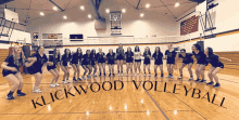 klickwood volleyball team posing for a picture on the court