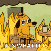a cartoon dog sitting in front of a fire with the words " it is what it is "
