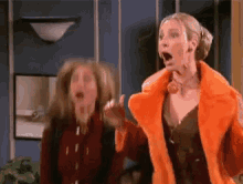 Ross Yay! GIF - Friends Phoebe Ross GIFs