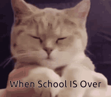 Schools Out GIF