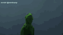 Kermit Frog GIF - Kermit Frog Puppet GIFs