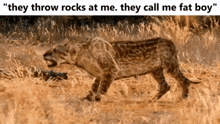 a painting of a lioness with the caption " they throw rocks at me they call me fat boy "