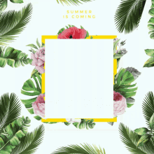 Summer Is Coming Surprise For You GIF - Summer Is Coming Surprise For You Flowers GIFs