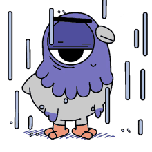 bro pigeon raining soaking wet straight face google