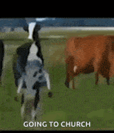 Cow Vibe GIF