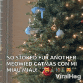 A Cat Is Playing With The Christmas Ornament Viralhog GIF