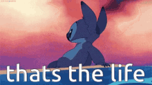 The Life With Stitch Thats The Life GIF - The Life With Stitch Thats The Life Surf GIFs