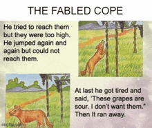 Fable Cope GIF - Fable Cope Coping GIFs