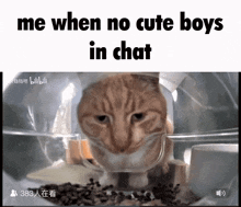 No Cute Boys Me When GIF - No Cute Boys Me When In Chat GIFs