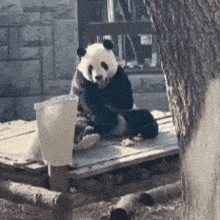 a panda bear is sitting on a wooden platform near a tree