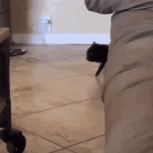 a person standing next to a cat on the floor