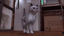 a cat is standing next to a box that says y08 hu