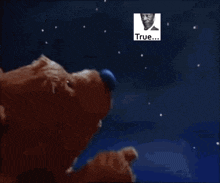 a teddy bear with a picture of a man and the words true on the bottom
