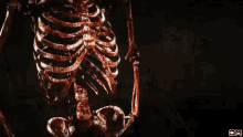 Skeleton Smoking GIF - Skeleton Smoking Terminator GIFs