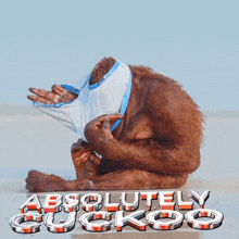 a picture of a monkey with the word absolutely suckoo on the bottom