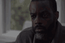 a man with a beard looks at the camera