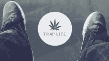 Trap  GIF - Life GIFs