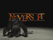 Neversoft Logo GIF