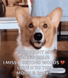Miss You Snoot Challange GIF