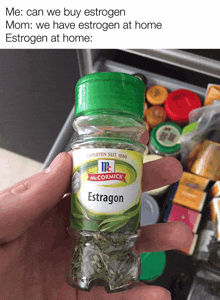 a person is holding a bottle of estragon in their hand