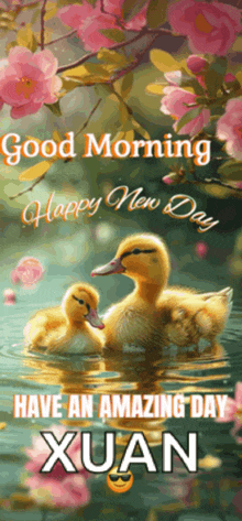 two ducklings are swimming in a pond with the words good morning happy new day have an amazing day xuan