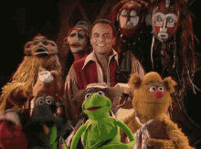 Muppets Muppet Show GIF - Muppets Muppet Show Harry Belafonte GIFs