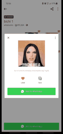 a screenshot of a phone with a picture of a woman and the words pinche vieja