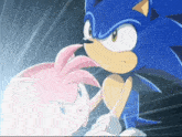 a sonic the hedgehog and amy the hedgehog are standing next to each other