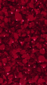 a woman is surrounded by red rose petals