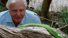 Viper David Attenborough GIF