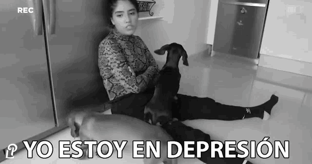 depresión perro meme