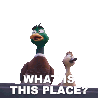 What Is This Place Mack Mallard Sticker - What Is This Place Mack Mallard Pam Mallard Stickers