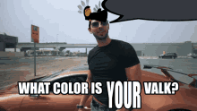 What Color Is Your Valk GIF - What Color Is Your Valk GIFs