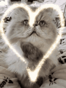 Kitty Love GIF - Kitty Love Hearts GIFs