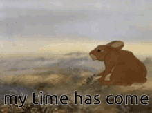 My Time Has Come I Have To Go GIF - My Time Has Come I Have To Go Watership Down GIFs