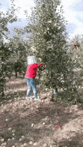 яблочный спас Apple GIF - яблочный спас Apple Cider GIFs