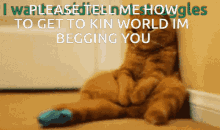 Kin Kinning GIF - Kin Kinning Kin World GIFs