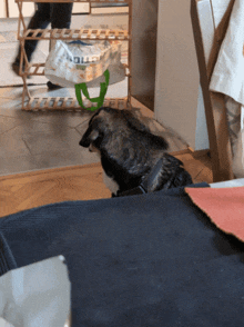 a cat is looking at a bag that says ' cleaning ' on it in a living room