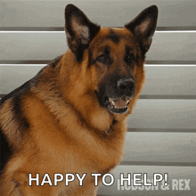 Bark Rex GIF - Bark Rex Hudson And Rex GIFs