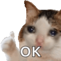 a crying cat is giving a thumbs up and the word ok is on the bottom .