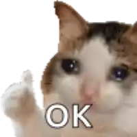 a crying cat is giving a thumbs up and the word ok is on the bottom .