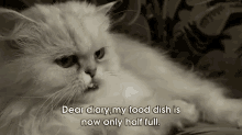 It Is Obvious That I Will Soon Starve To Death. GIF - Cat Animal Kitty GIFs