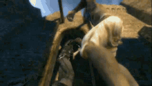 Sword Fight Geralt Of Rivia GIF - Sword Fight Geralt Of Rivia The Witcher GIFs